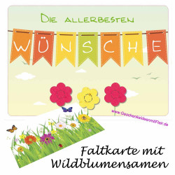 Die allerbesten Wünsche - Faltkarte mit Blumensamen