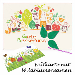 Gute Besserung! - Faltkarte mit echten Wildblumensamen
