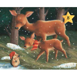 Adventsbilderbuch Der kleine Igel und die schöne Bescherung