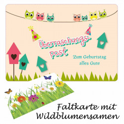 Überraschungspost. Zum Geburtstag alles Gute - Faltkarte mit Blumensamen