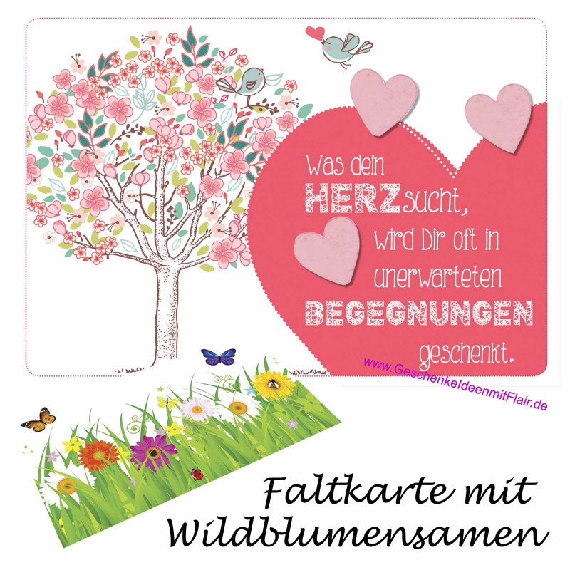Was dein Herz sucht, wird Dir oft in unerwarteten Begegnungen geschenkt. - Faltkarte mit echten Wildblumensamen